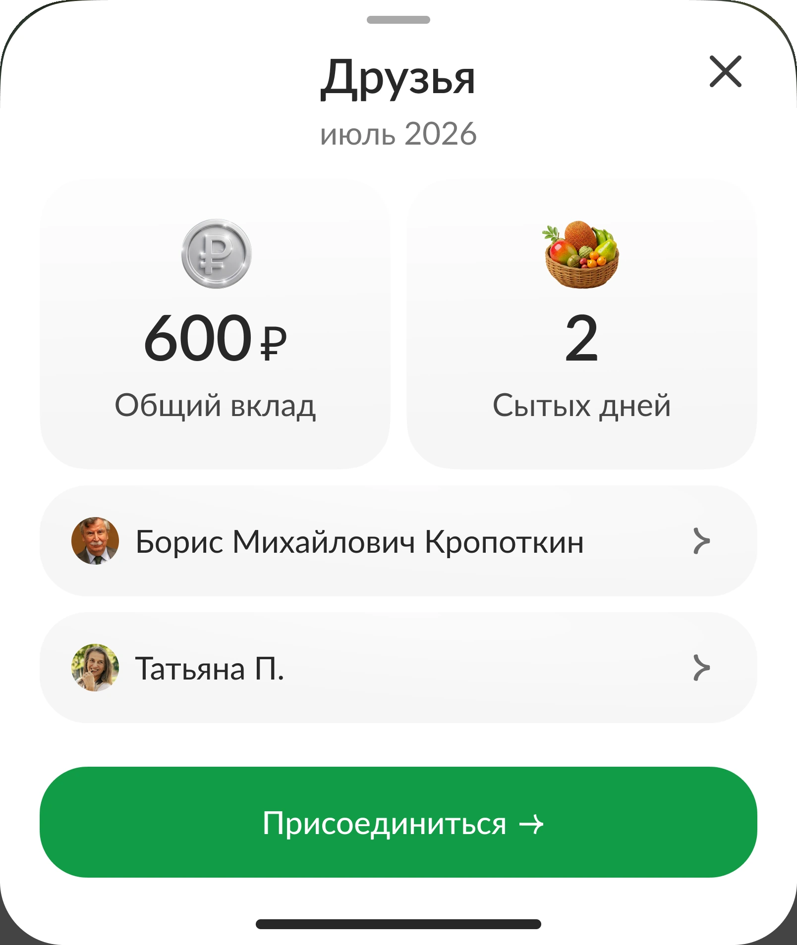 Шторка «Друзья»: общий вклад и участники